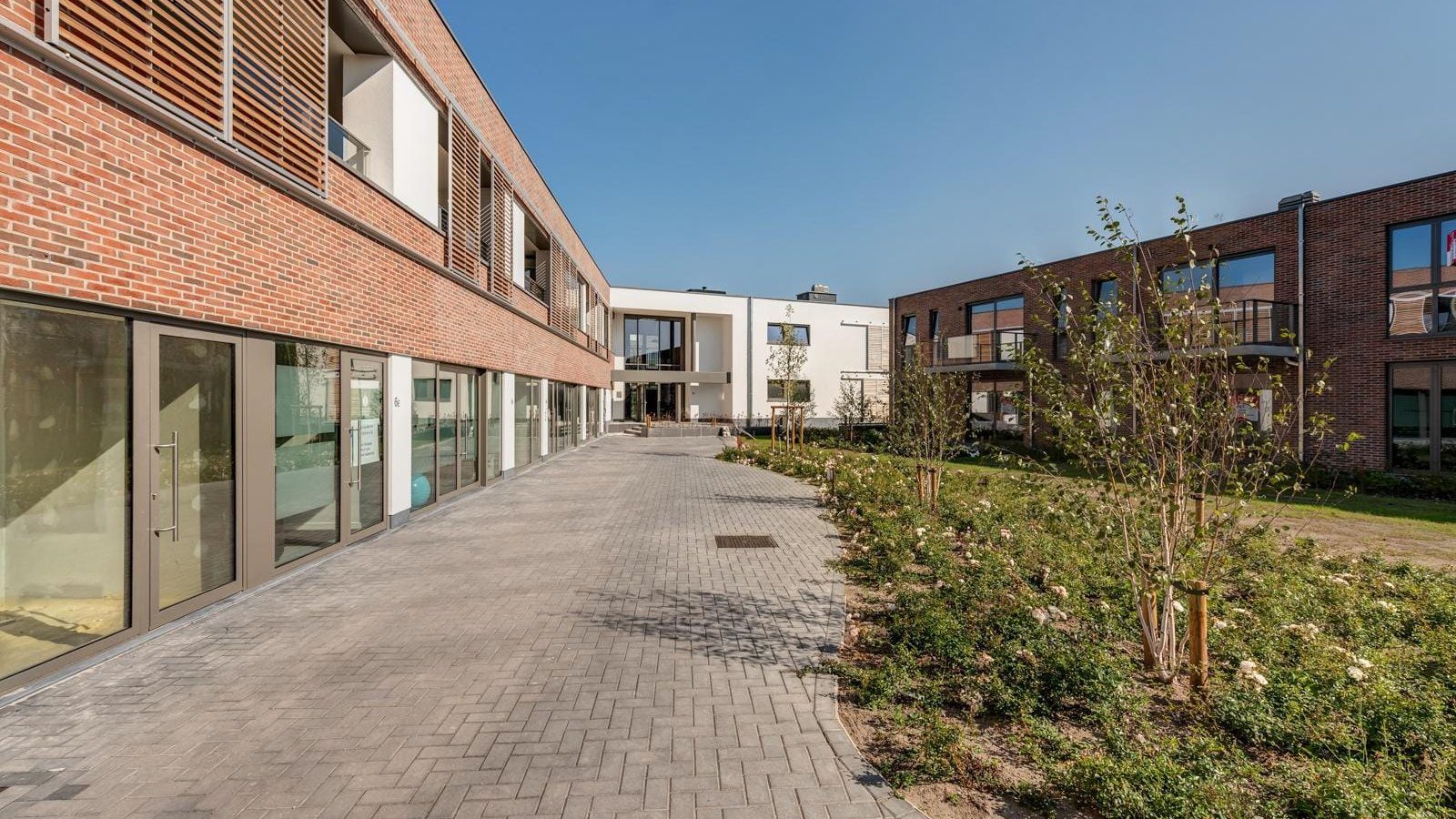 hoogstraten-7-7