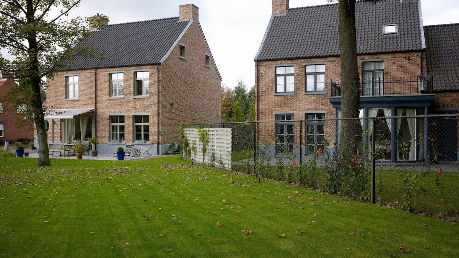minderhout-5-1
