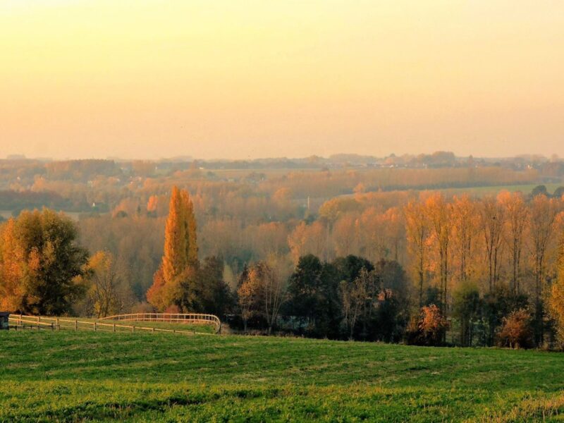 Stikstofdossier is maar topje van Europese ijsberg